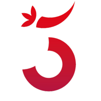 logo 5sansun